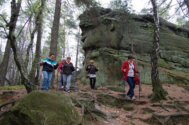 21 DSC_9238.JPG - (C) Jacek L. Piotrowski 601 07-77-09